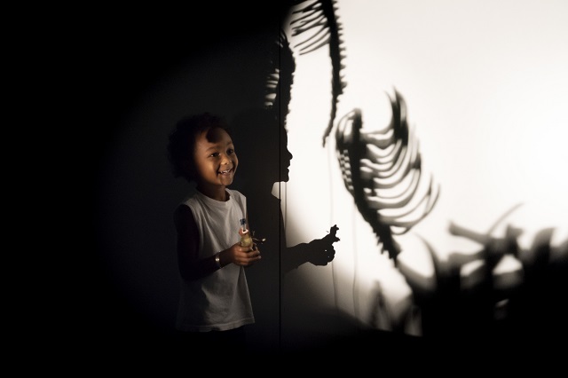 Shadow of Great Beasts