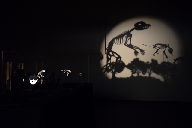 Shadow of Great Beasts